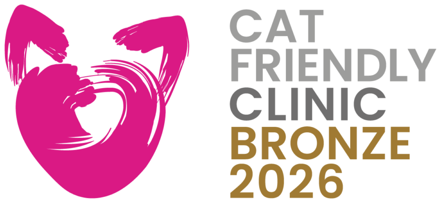Cat Friendly Clinic Bronze 2026