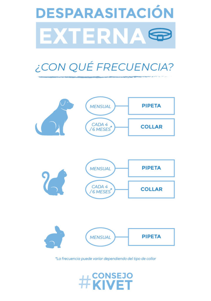 Frecuencia de desparasitación externa