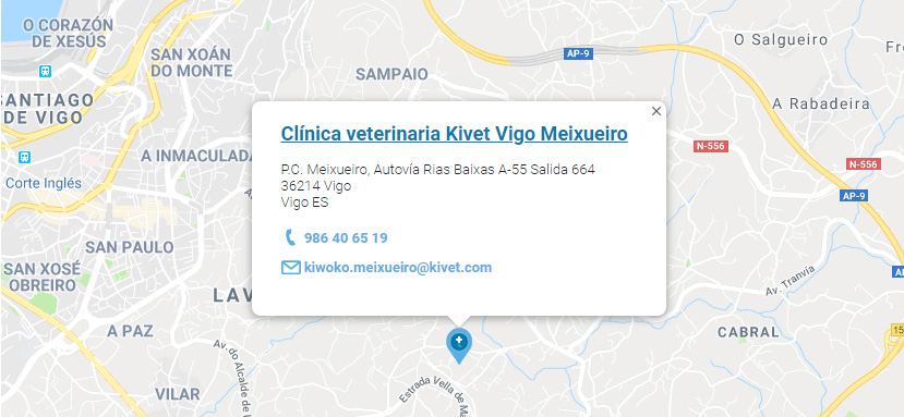 Servicios veterinarios en Clínica veterinaria Kivet Vigo Meixueiro
