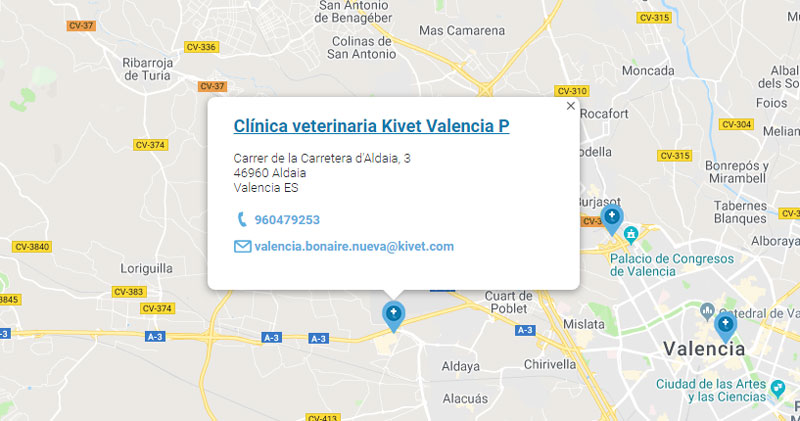 Clínica veterinaria Kivet Bonaire