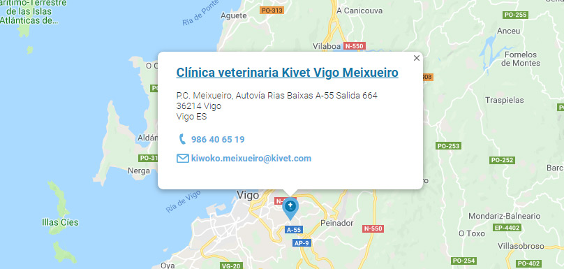 Clínica veterinaria Kivet Vigo Meixueiro