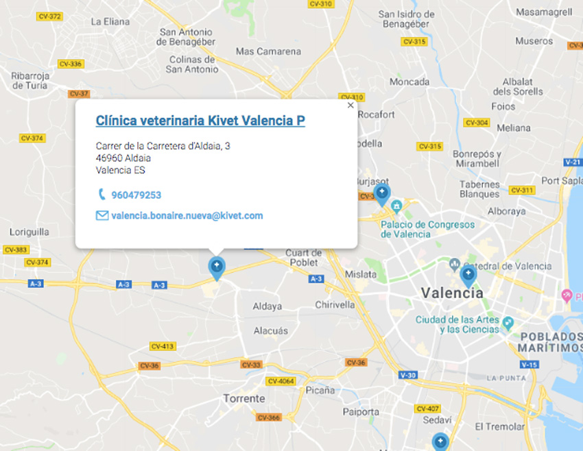 Mapa clínica veterinaria Kivet Valencia