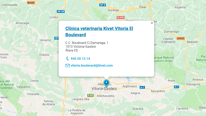 Mapa clínica veterinaria Kivet Vitoria