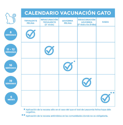 calendario vacunacion gato kivet