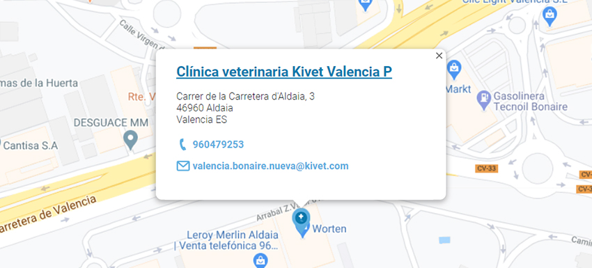 Clínica Kivet Valencia de Bonaire