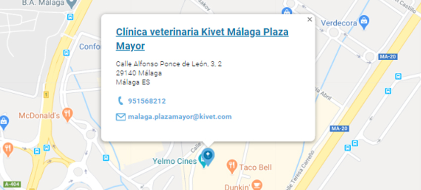 Clínica veterinaria kivet Málaga