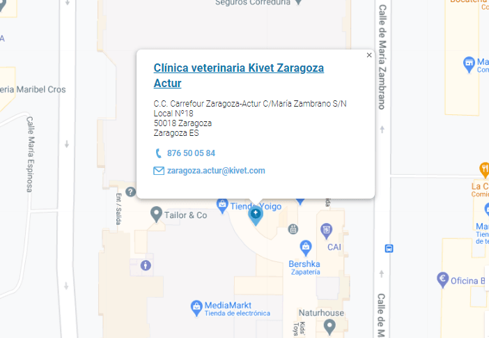 mapa clínica veterinaria kivet Zaragoza Actur