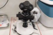Pruebas Histológicas y Microscopio