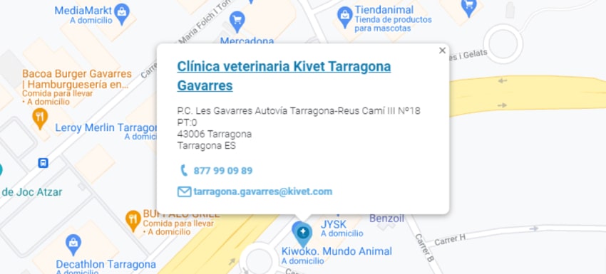 Servicios veterinarios en Clínica veterinaria Kivet Tarragona Gavarres