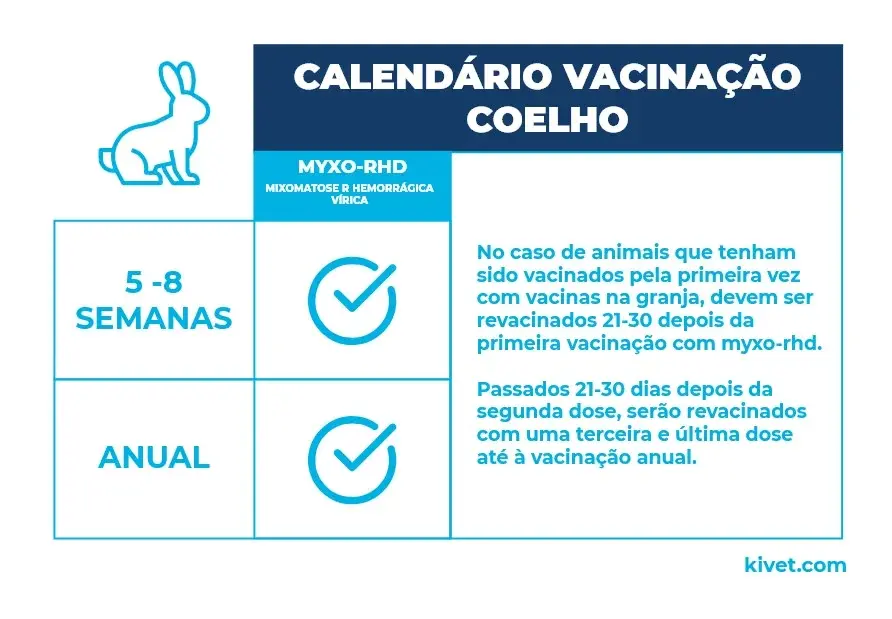 calendario_vacinacao_coelho