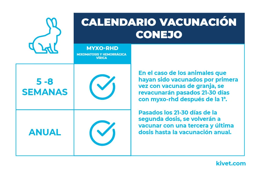 calendario_vacunacion_conejo