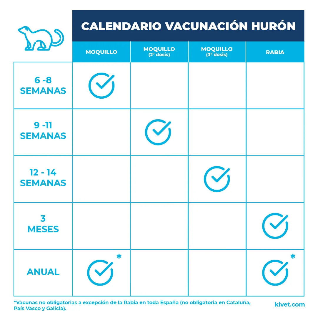 Cíclope Derritiendo metano Servicio de Vacunación Veterinaria | Kivet