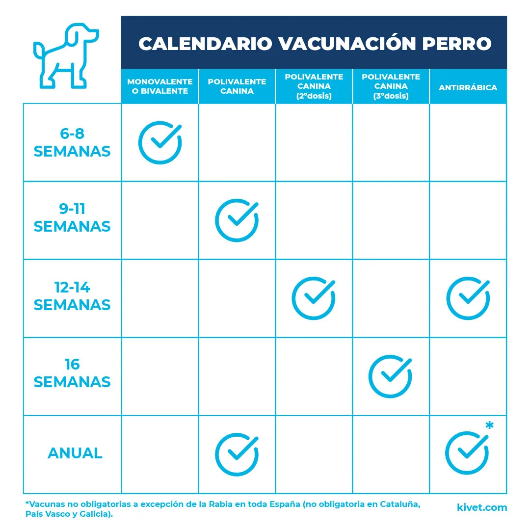 de vacunas de un perro | Consejos