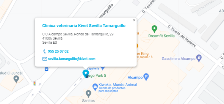 Clinica veterinaria Kivet Sevilla Tamarguillo